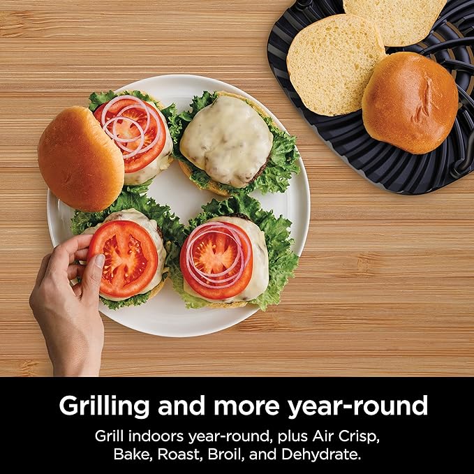 Ninja EG201 Foodi 6-in-1 Indoor Grill with Air Fry, Roast, Bake, Broil,  Dehydrate, 2nd Generation, Dishwasher Safe, BlackSilver
