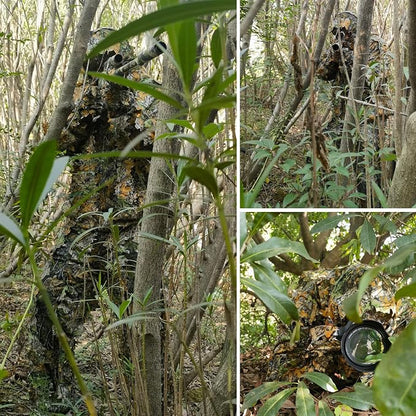 Ghillie Suit for Men, Complete Set with Full Face Mask & Gloves, Outdoor Camouflage, Turkey Hunting, Jungle Games & Halloween