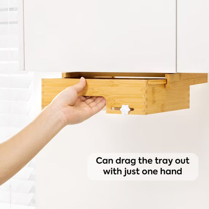 VIVIRBIEN paper plate container/dispenser