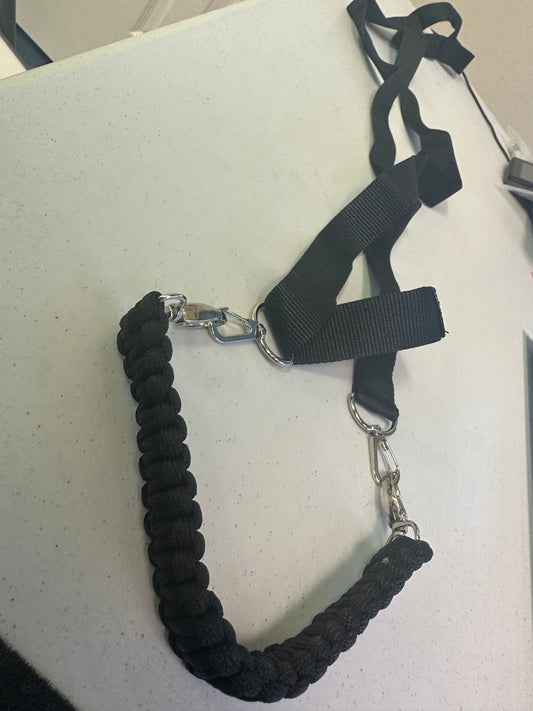 Dog Collar Safety Backup Leash for Prong Collar Harness Back Up Strap Clip (Black)