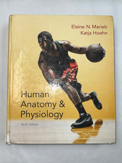 USED- Human Anatomy Physiology (Marieb, Human Anatomy Physiology) Standalone Book