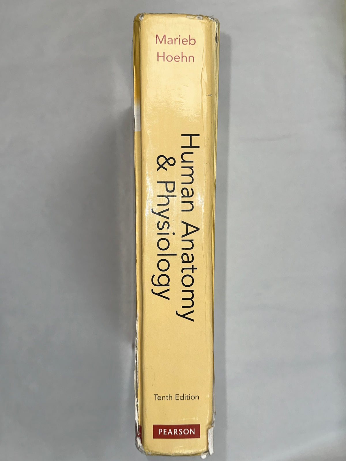 USED- Human Anatomy Physiology (Marieb, Human Anatomy Physiology) Standalone Book
