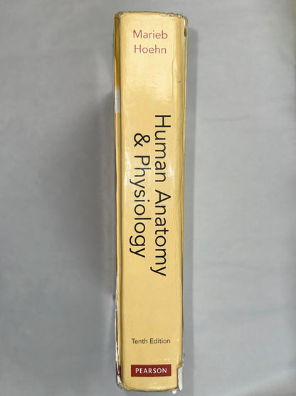 USED- Human Anatomy Physiology (Marieb, Human Anatomy Physiology) Standalone Book