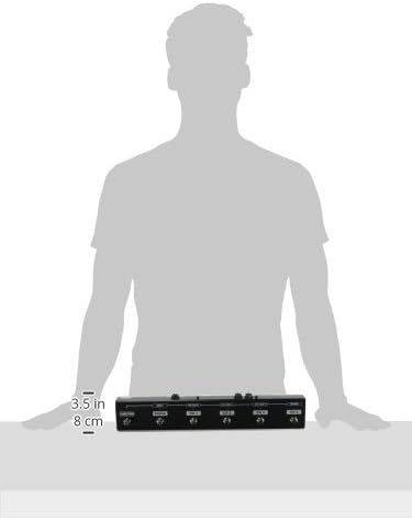 Roland GA-FC Foot Controller for GA-112 and GA-212