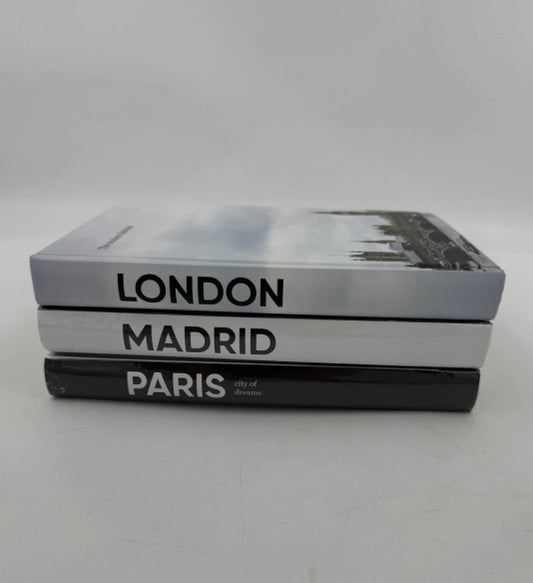 Decorative Books City Theme For Home Decor Hardcover Blank Pages Set of 2