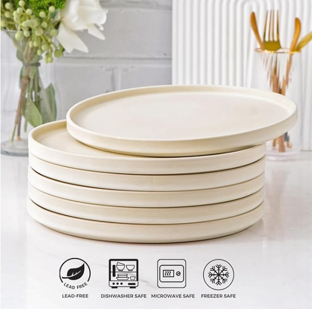 AmorArc Stoneware Dinner Plates Set of 6, 10.5 Inch Reactive Matte Glaze Ceramic Plates Set, Modern Dinnerware Dish set for Kitchen, Microwave, Dishwasher Safe, Scratch Resistant - Ivory