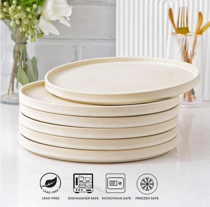 AmorArc Stoneware Dinner Plates Set of 6, 10.5 Inch Reactive Matte Glaze Ceramic Plates Set, Modern Dinnerware Dish set for Kitchen, Microwave, Dishwasher Safe, Scratch Resistant - Ivory