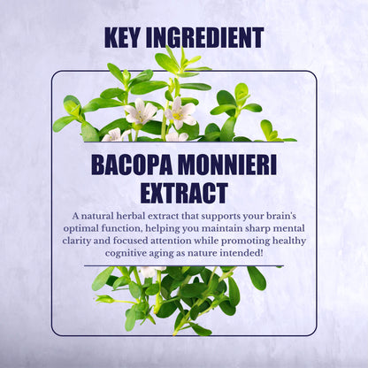 Nation Health MD Bacopa Monnieri