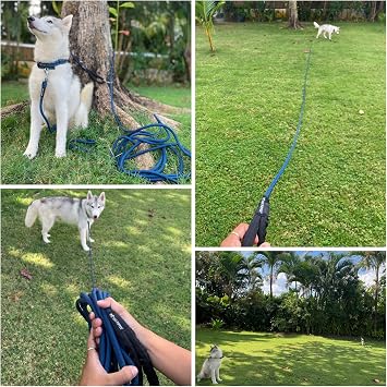 Wander - Extended Leash