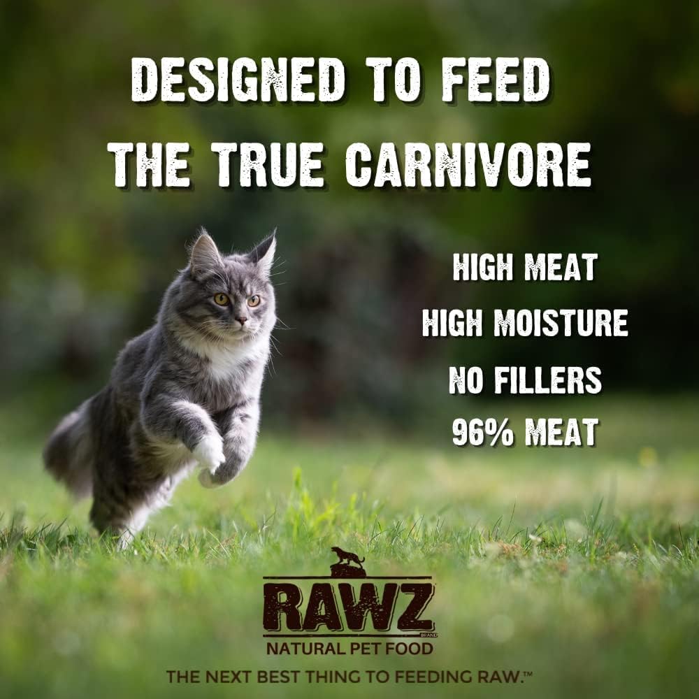 Rawz Natural Premium Pate Canned Cat Wet Food - Made with Real Meat Ingredients No BPA or Gums -3 oz Cans (Case Pack of 18) (Rabbit&Pumpkin)