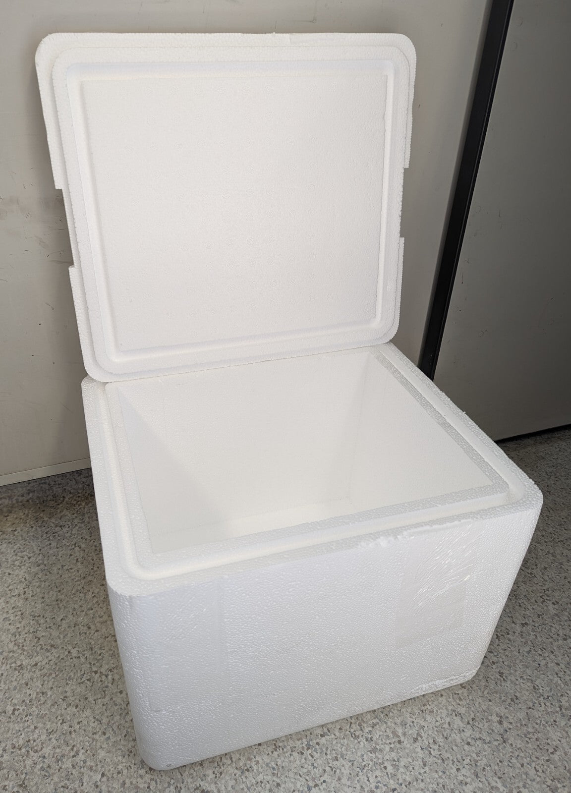 Thermalok Styrofoam Shipping Box Insulated Cooler Shipper Cold Package 12x10x9 (Has Cosmetic Defects)