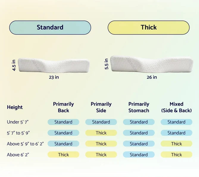 Dosaze Contoured Orthopedic Pillow (Thick)